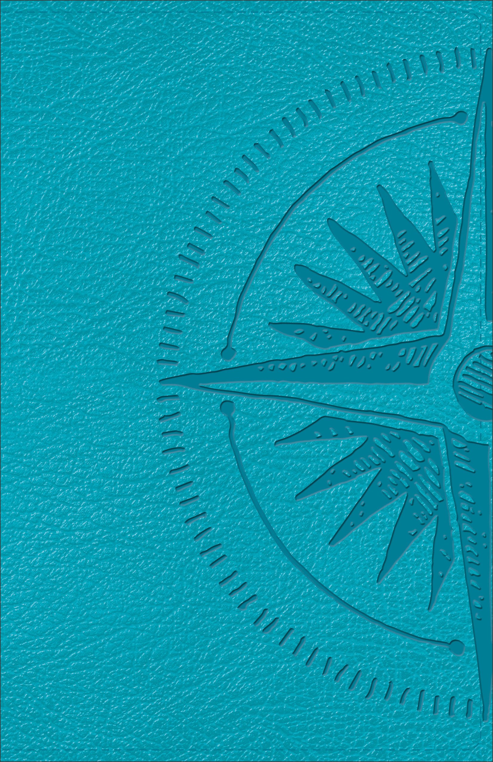 CSB Heart of God Teen Study Bible Teal, Compass Design Leathertouch
