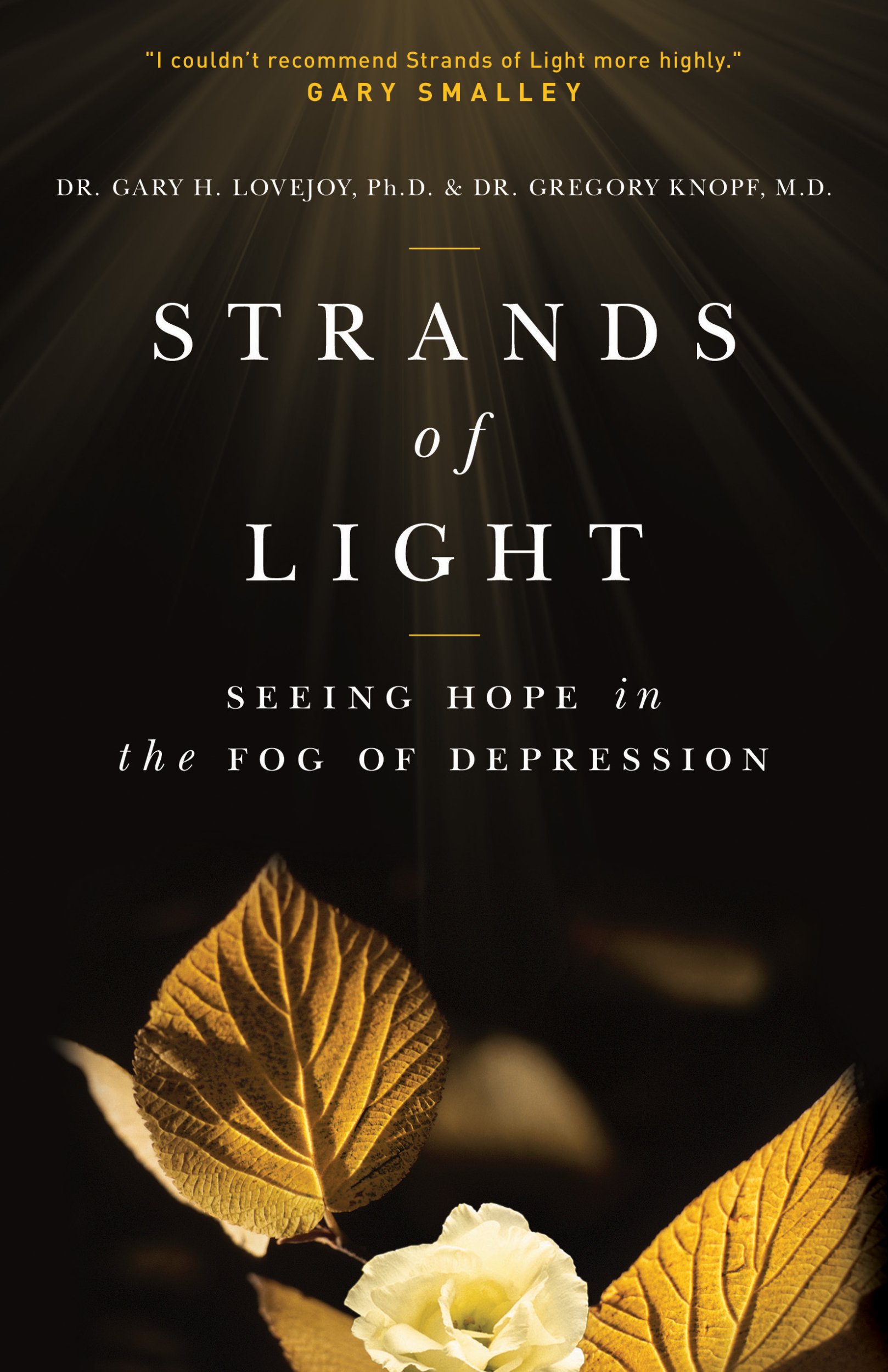 Strands of Light: Seeing Hope in the Fog of Depression