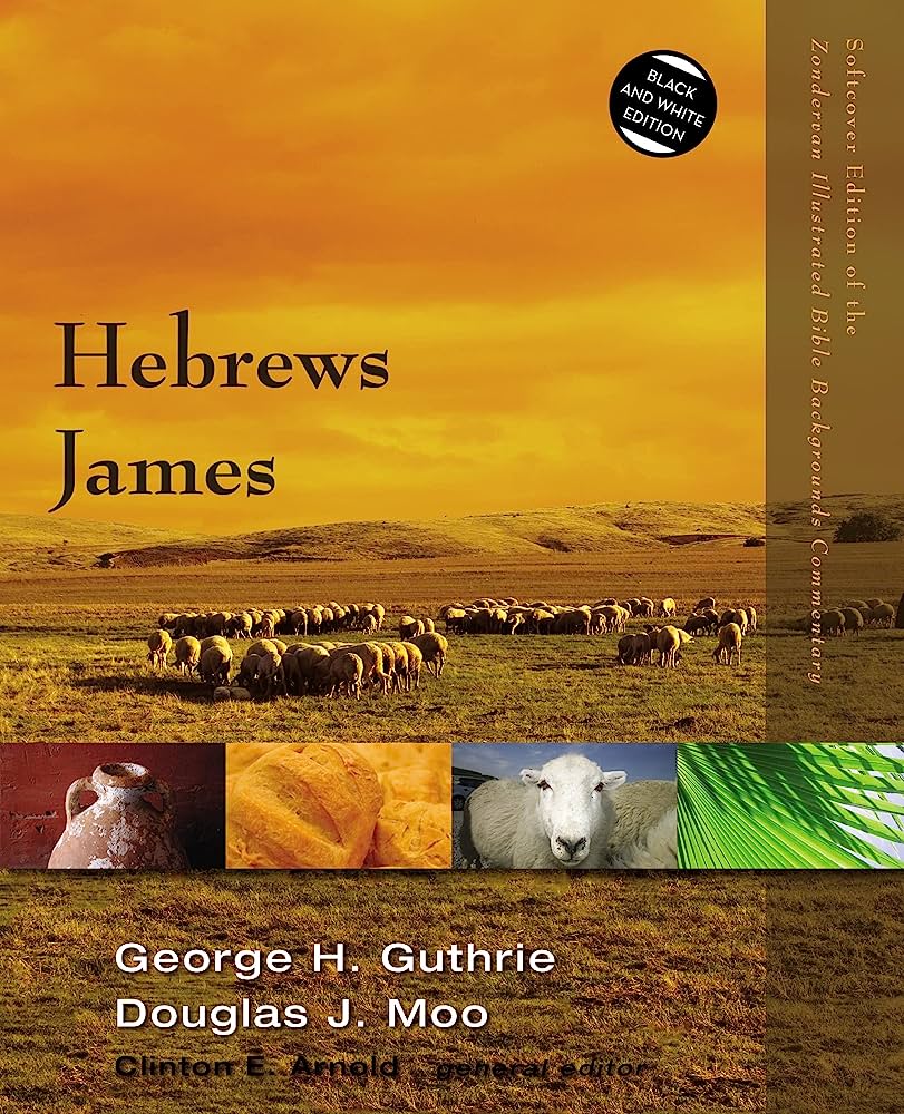 Hebrews, James (Zondervan Illustrated Bible Backgrounds Commentary)